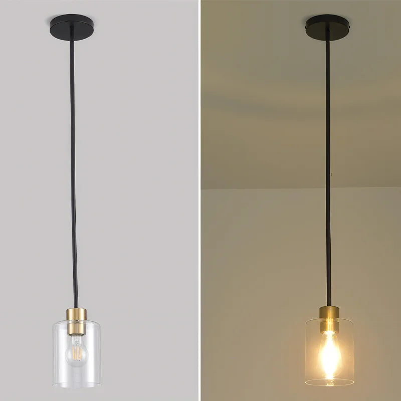 Modern Clear Glass Adjustable Pendant Lamp
